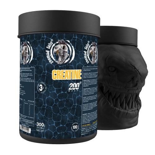 6x ZOOMAD LABS CREATİNE 300 GR - 100 SERVİS